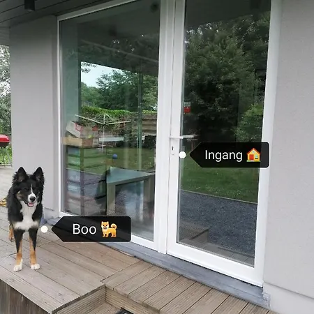Design Au Calme Séjour chez l'habitant Bastogne